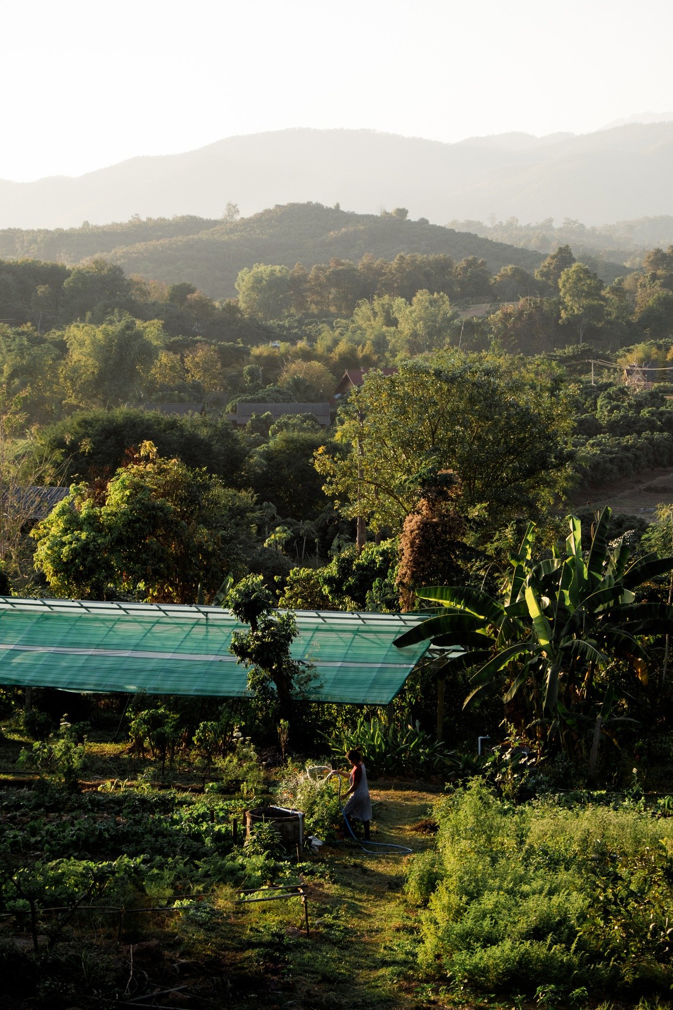 Land Design and Appropriate Technology