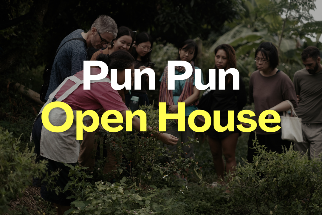 Pun Pun Open House