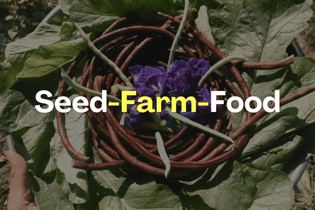 Seed-Farm-Food